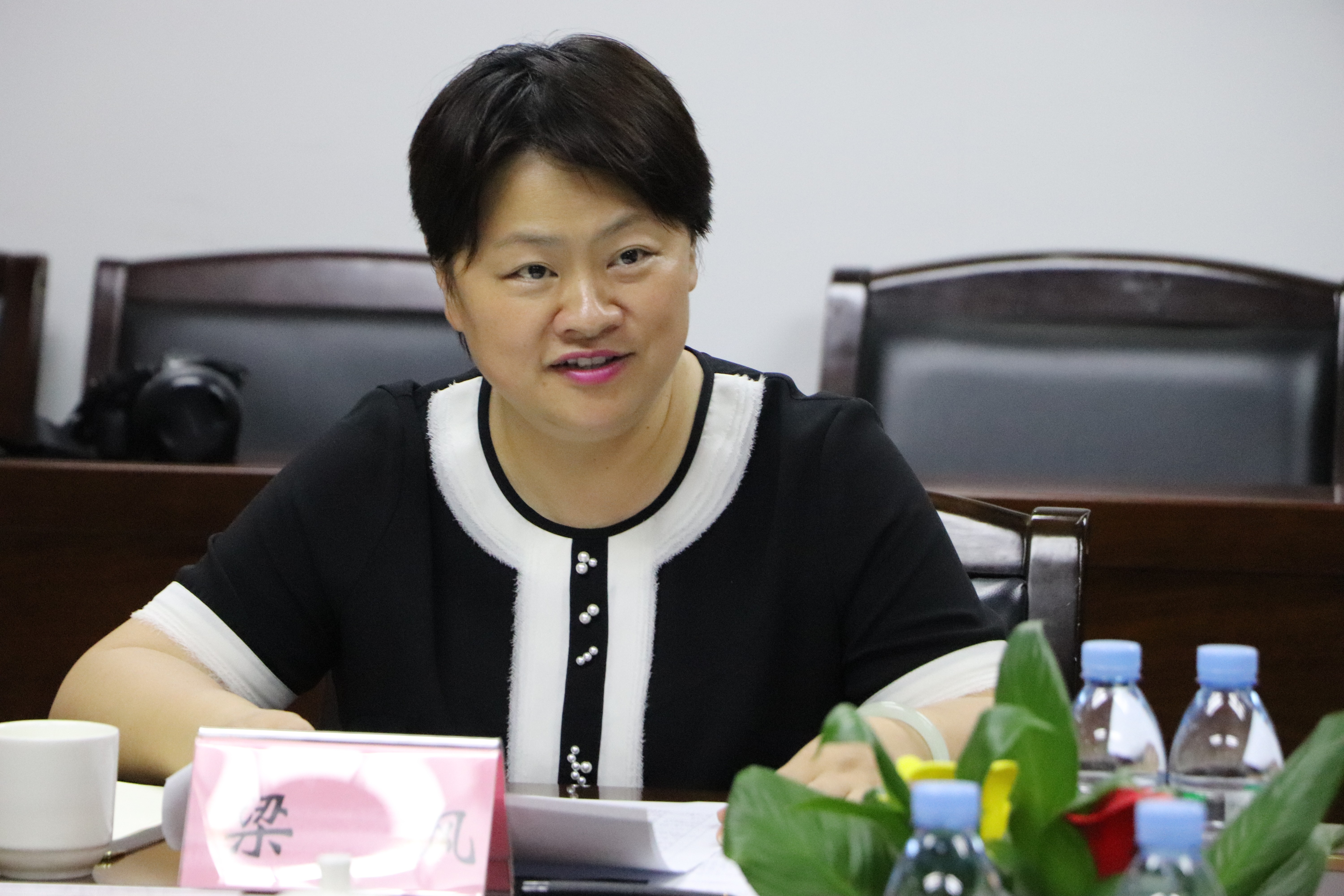 横州市委副书记市人民政府代理市长梁枫到六景工业园区调研重点项目